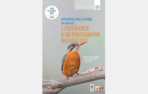 Rencontre avec la faune du sud-est