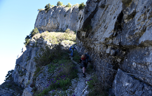 Montagne de Lure en Avril 2025