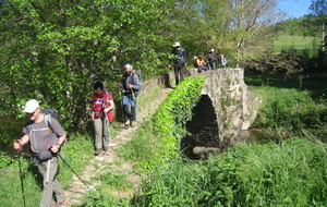 2019 - Cordes-sur-Ciel