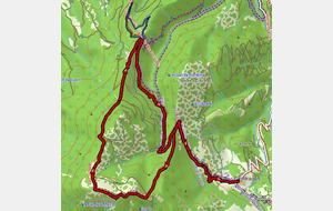 Rando : Le Mont COUSSON depuis Entrages (04)