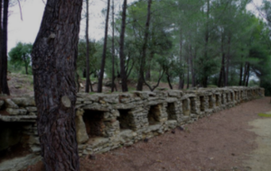 Cornillon confoux les murs des abeilles P1T1