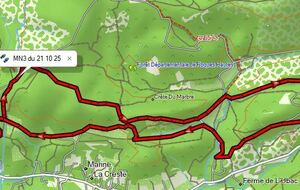 Marche Nordique Hybride MN3