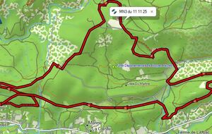 Marche Nordique Hybride MN3