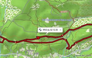 Marche Nordique Hybride MN3