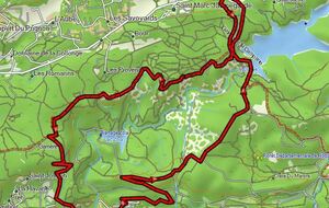 Marche Nordique Hybride MN3