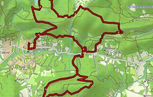 Marche Nordique Hybride MN3