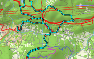 Marche Nordique Hybride MN3
