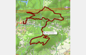 Marche Nordique Hybride MN3 (avec boucle inédite )