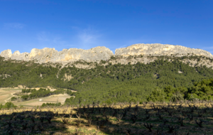 Lafare - Autour des dentelles de Montmirail P2